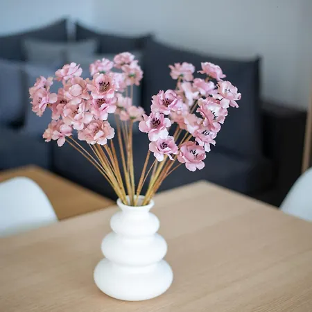 Elma 2 Apartament